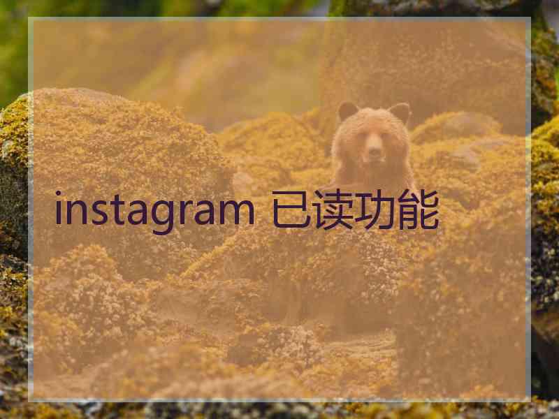 instagram 已读功能