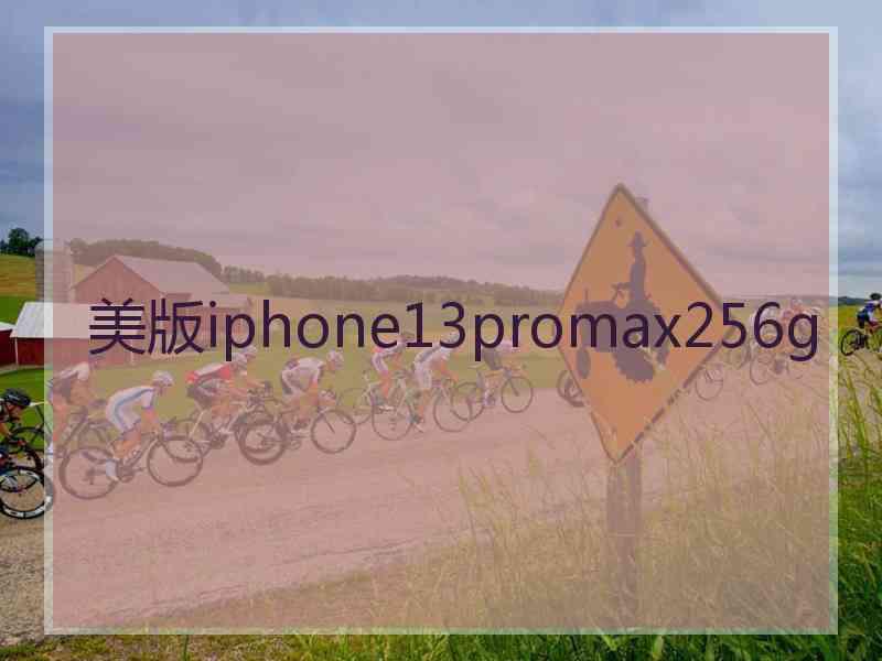 美版iphone13promax256g