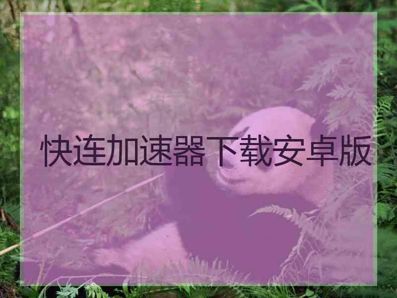 快连加速器下载安卓版