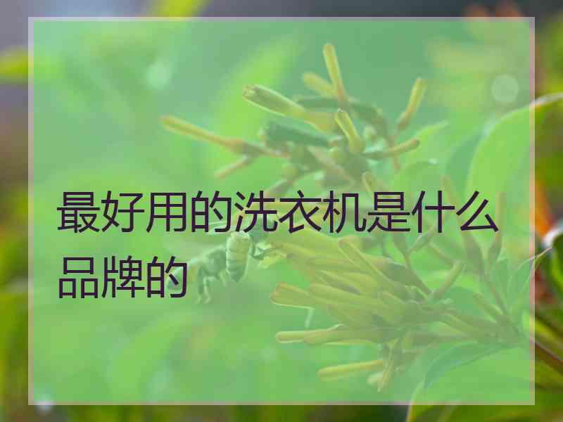 最好用的洗衣机是什么品牌的