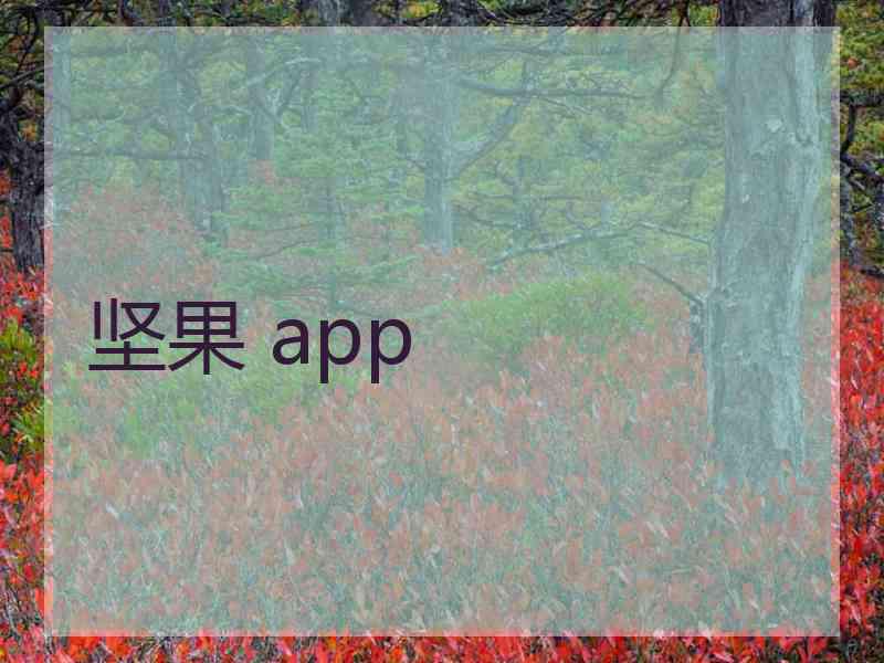 坚果 app