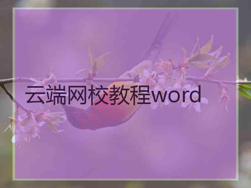 云端网校教程word