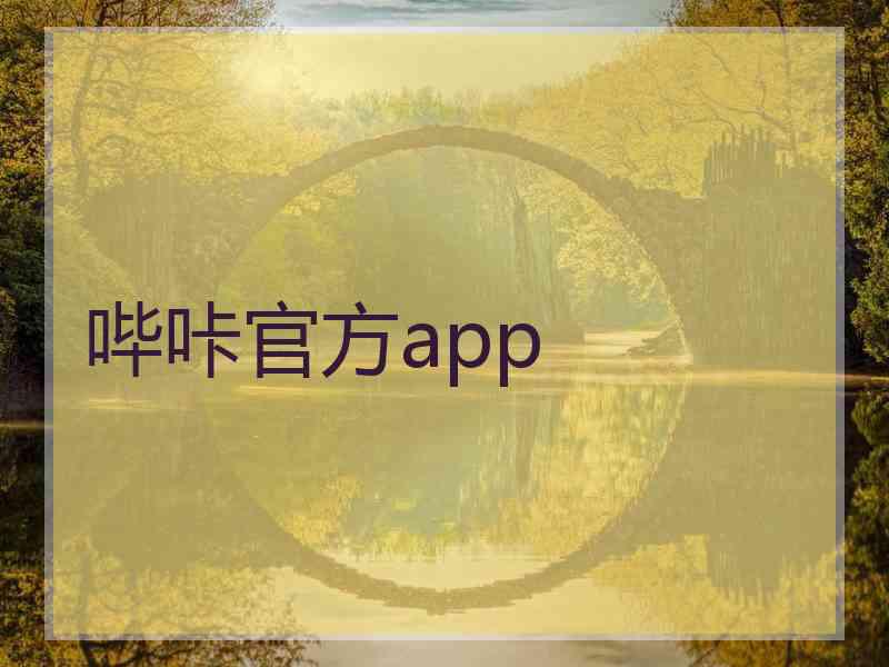 哔咔官方app