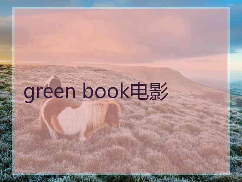 green book电影