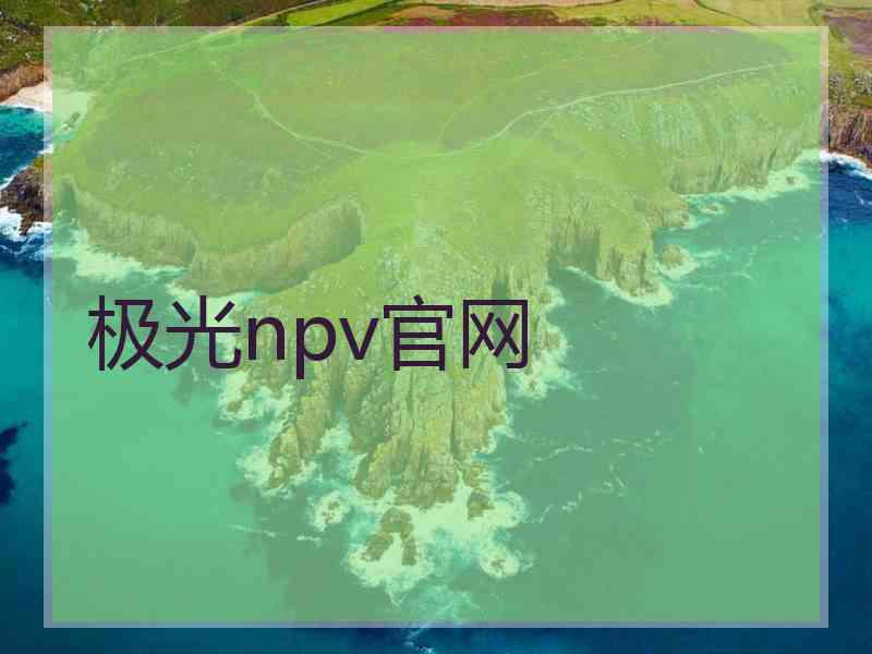 极光npv官网