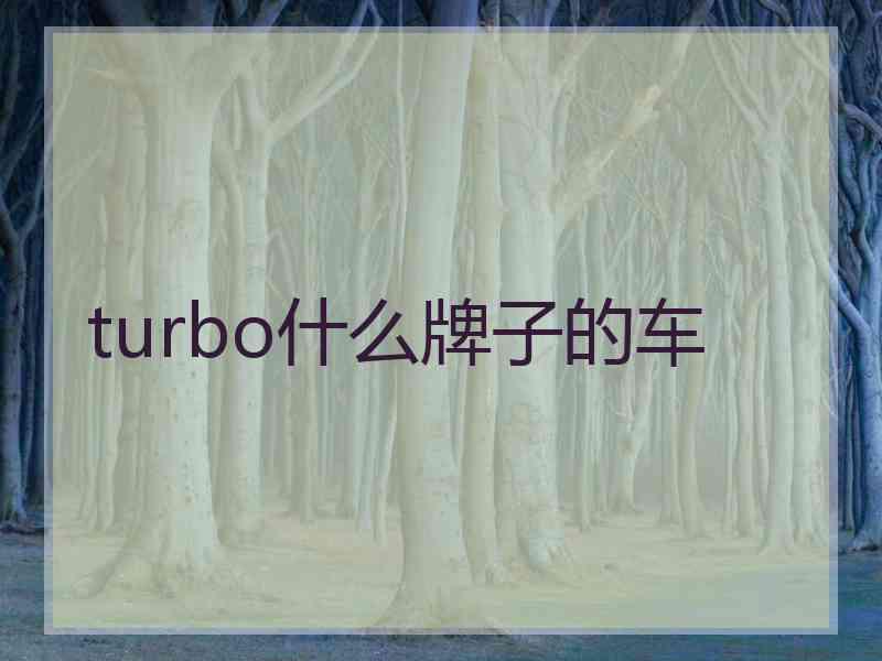 turbo什么牌子的车