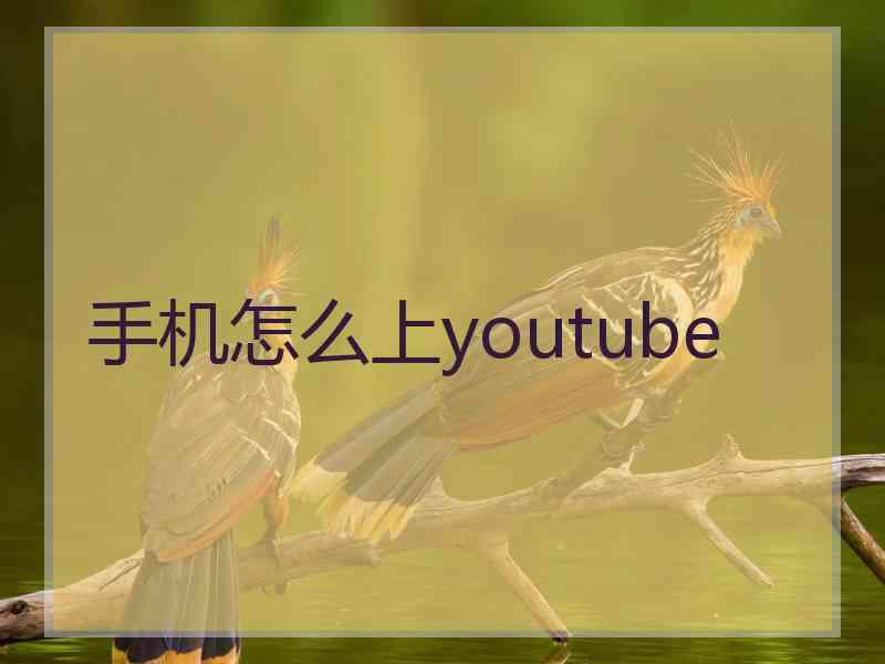 手机怎么上youtube