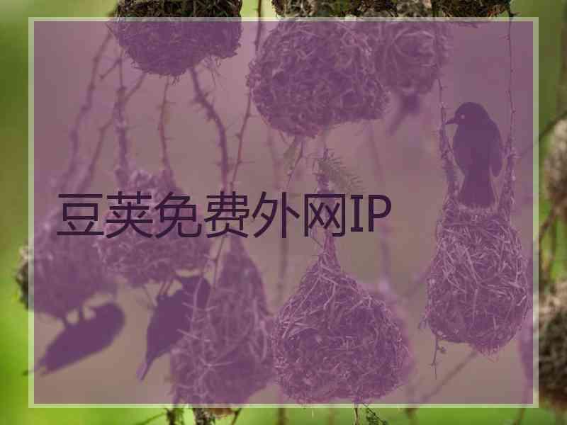 豆荚免费外网IP