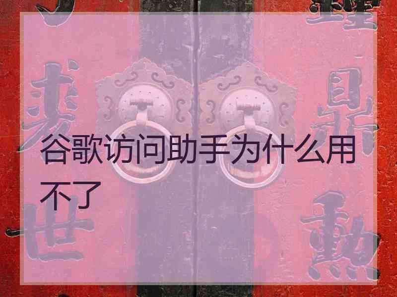 谷歌访问助手为什么用不了