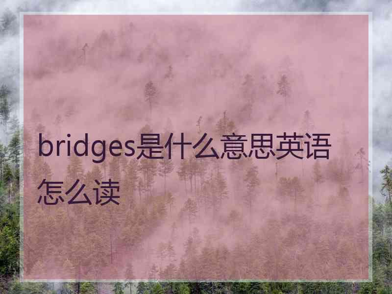 bridges是什么意思英语怎么读