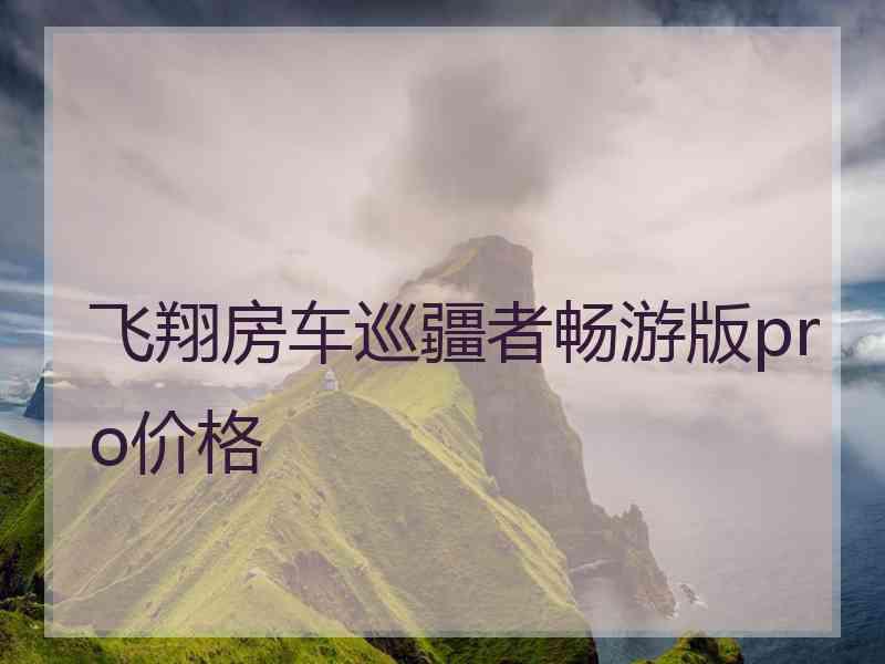 飞翔房车巡疆者畅游版pro价格