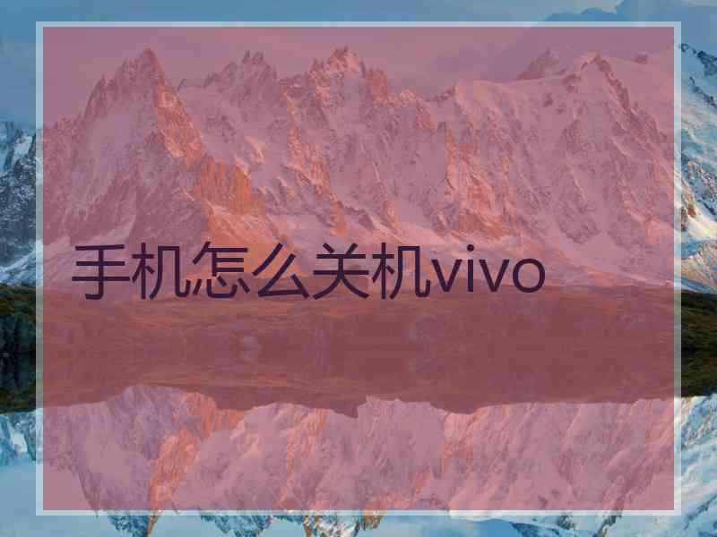 手机怎么关机vivo