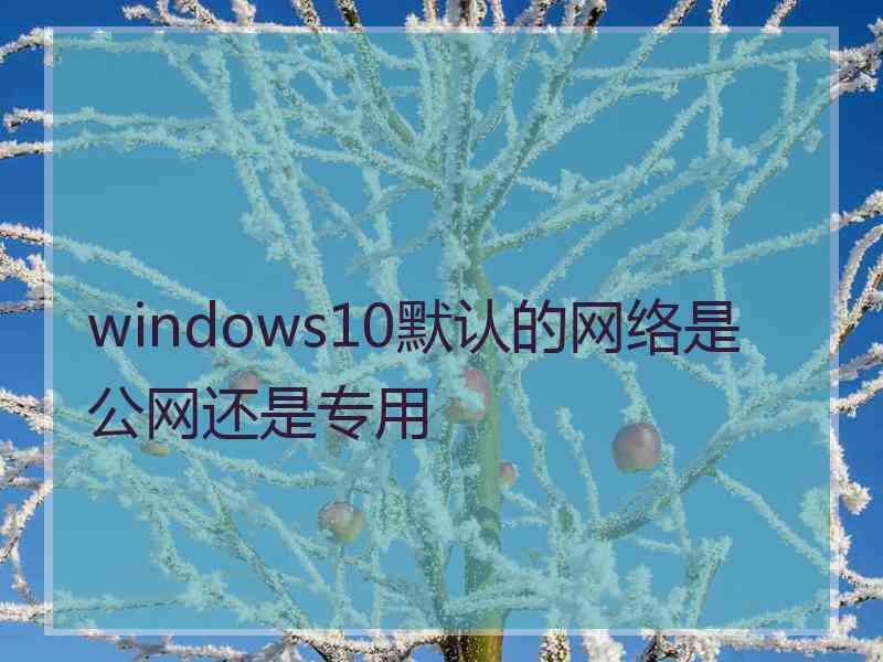 windows10默认的网络是公网还是专用