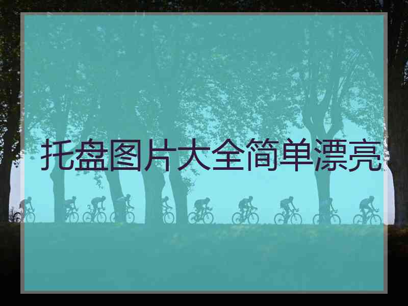 托盘图片大全简单漂亮