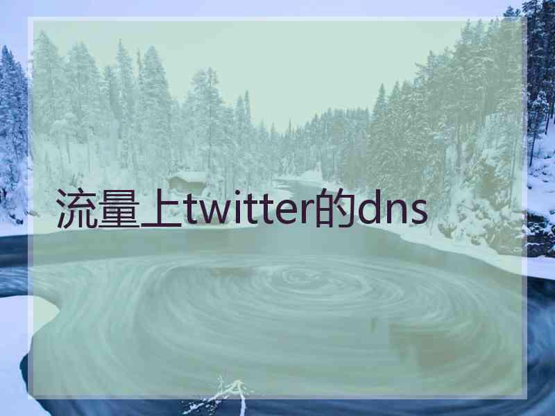 流量上twitter的dns