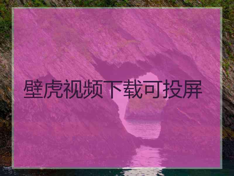 壁虎视频下载可投屏