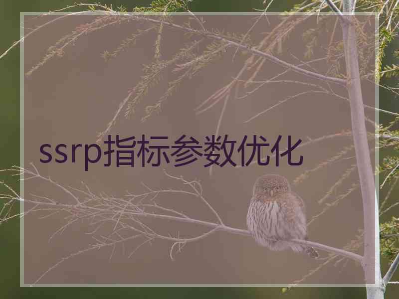 ssrp指标参数优化