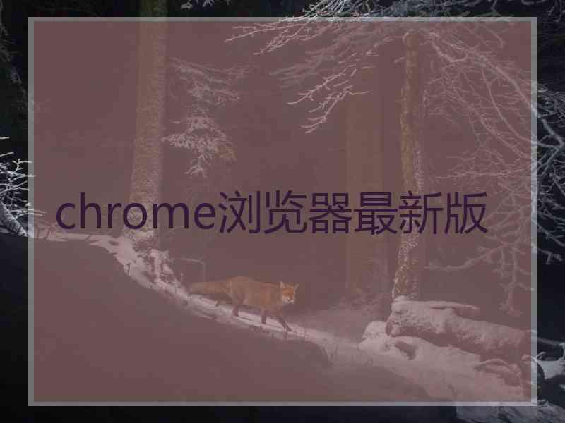 chrome浏览器最新版