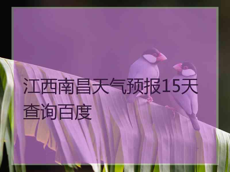 江西南昌天气预报15天查询百度