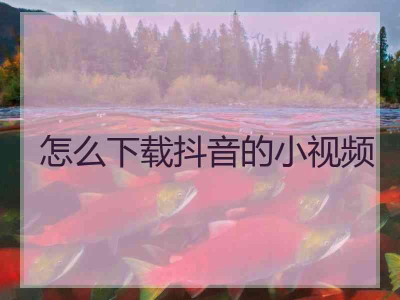 怎么下载抖音的小视频