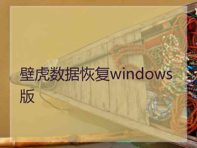 壁虎数据恢复windows版