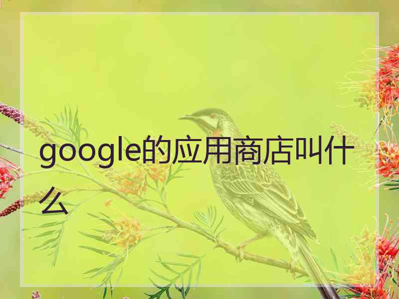 google的应用商店叫什么