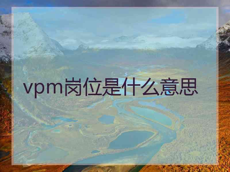 vpm岗位是什么意思