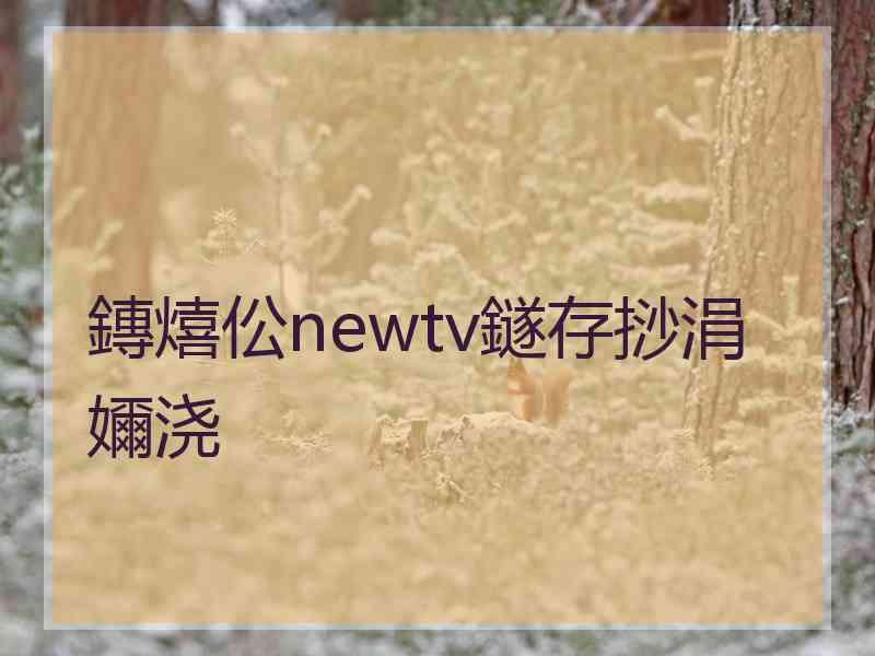 鏄熺伀newtv鐩存挱涓嬭浇