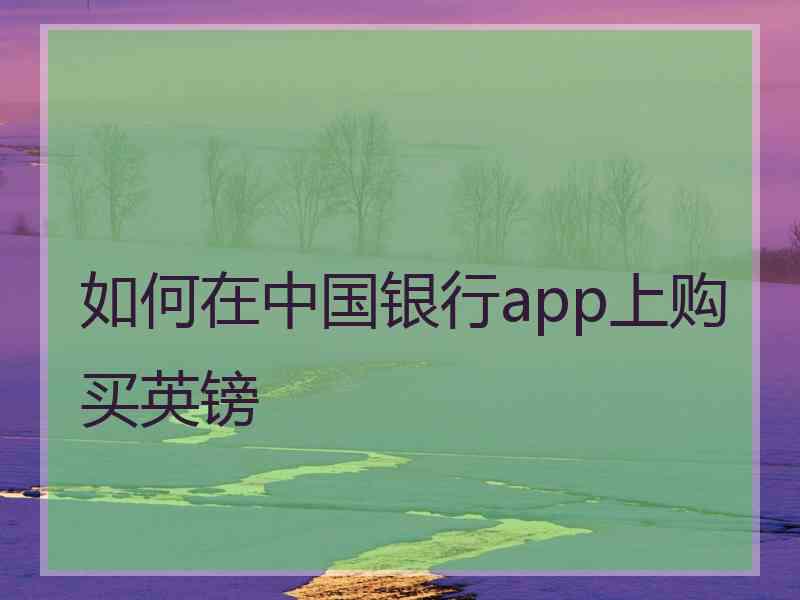 如何在中国银行app上购买英镑