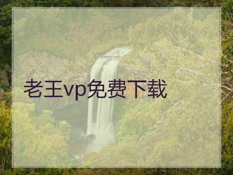 老王vp免费下载