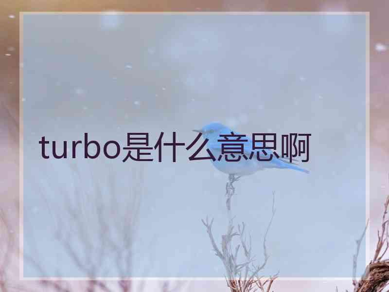 turbo是什么意思啊