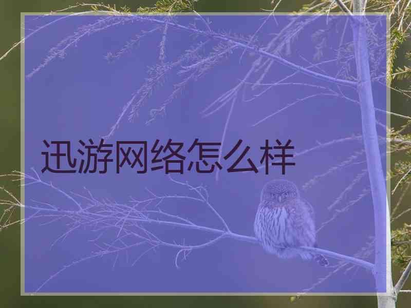 迅游网络怎么样