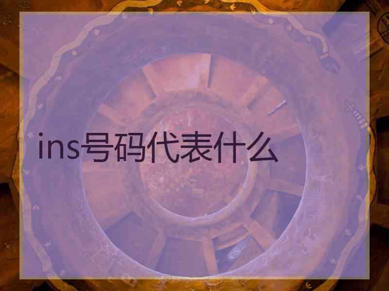 ins号码代表什么