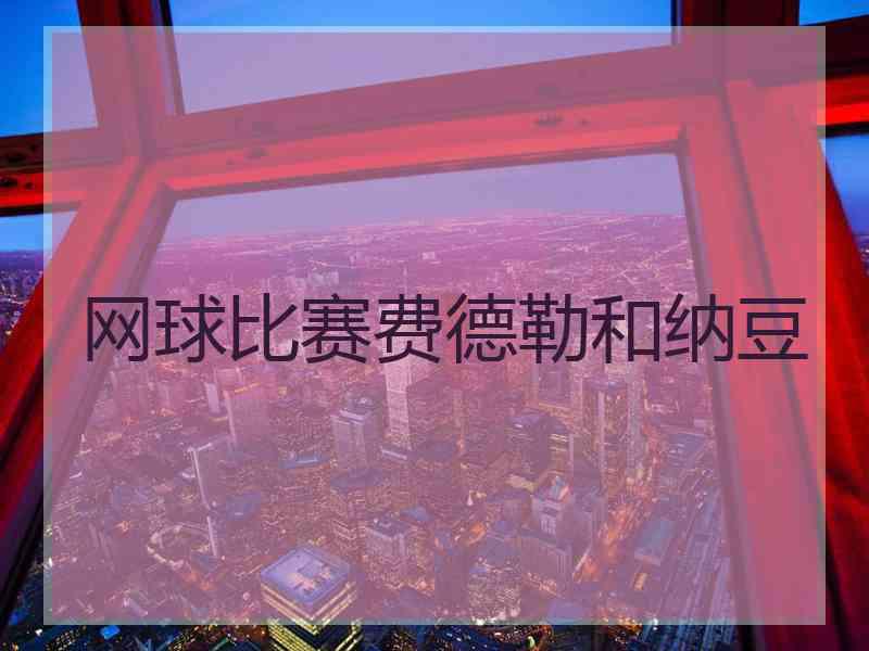 网球比赛费德勒和纳豆