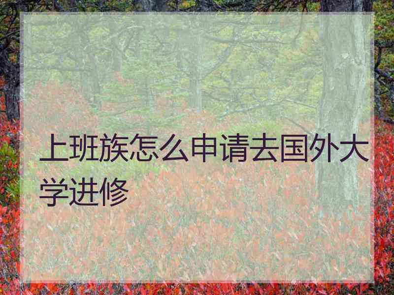 上班族怎么申请去国外大学进修