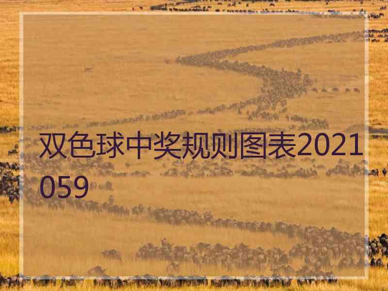 双色球中奖规则图表2021059