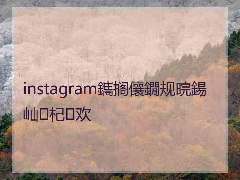 instagram鑴搁儴鐗规晥鍚屾杞欢