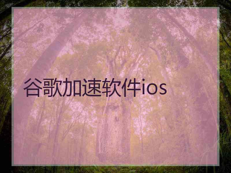 谷歌加速软件ios