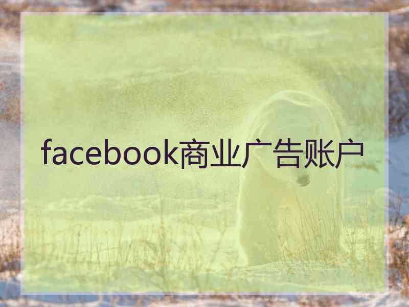 facebook商业广告账户