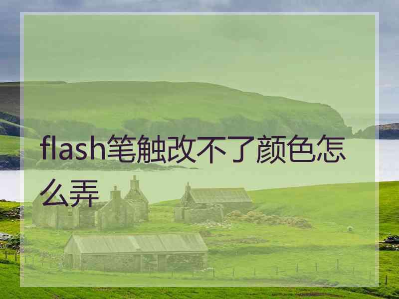 flash笔触改不了颜色怎么弄