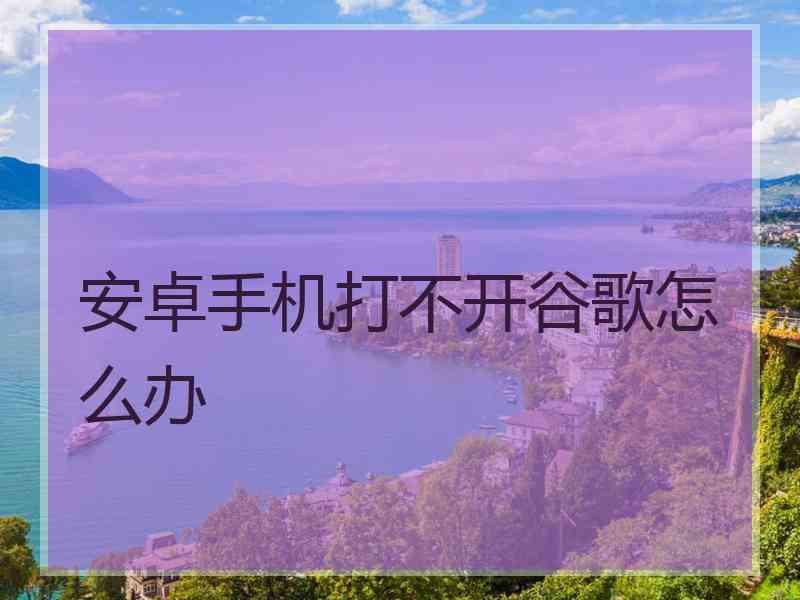 安卓手机打不开谷歌怎么办