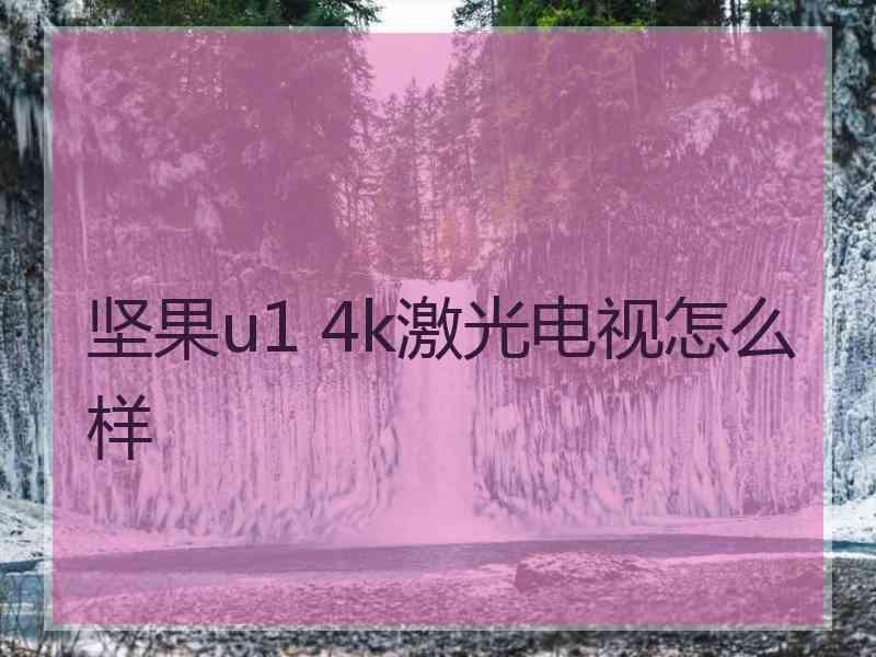 坚果u1 4k激光电视怎么样