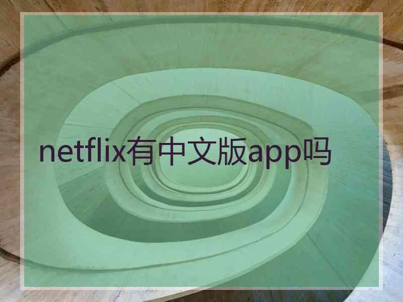 netflix有中文版app吗