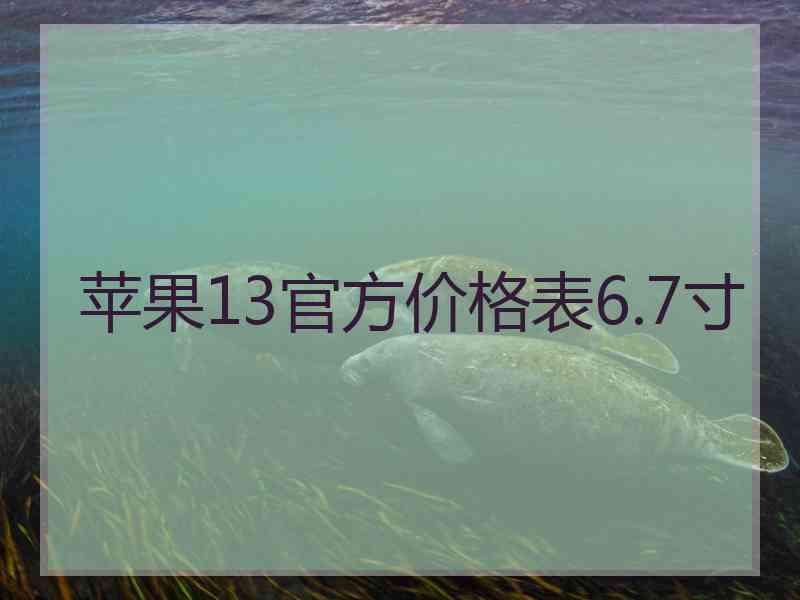 苹果13官方价格表6.7寸