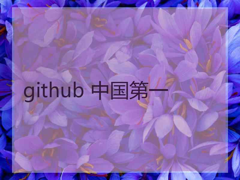 github 中国第一