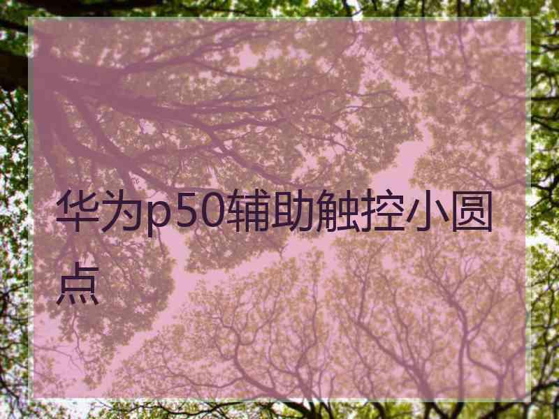 华为p50辅助触控小圆点