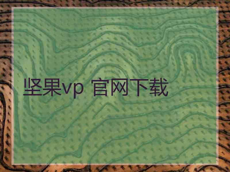 坚果vp 官网下载