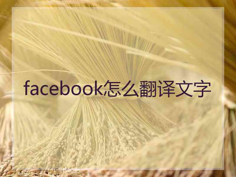 facebook怎么翻译文字