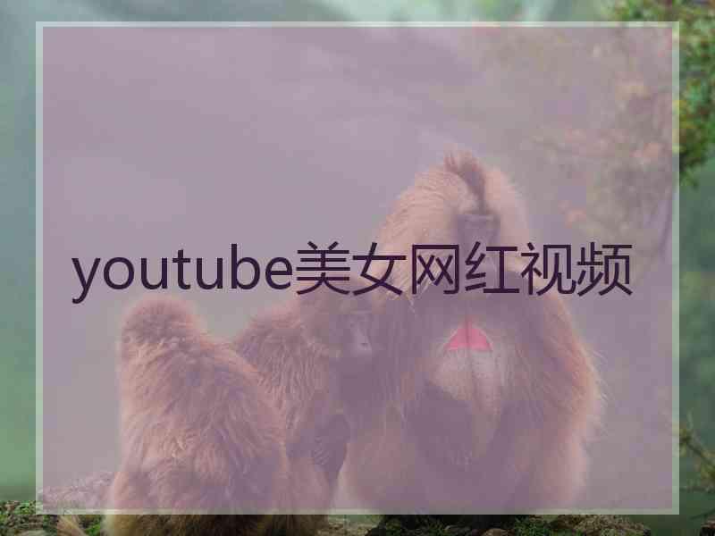 youtube美女网红视频