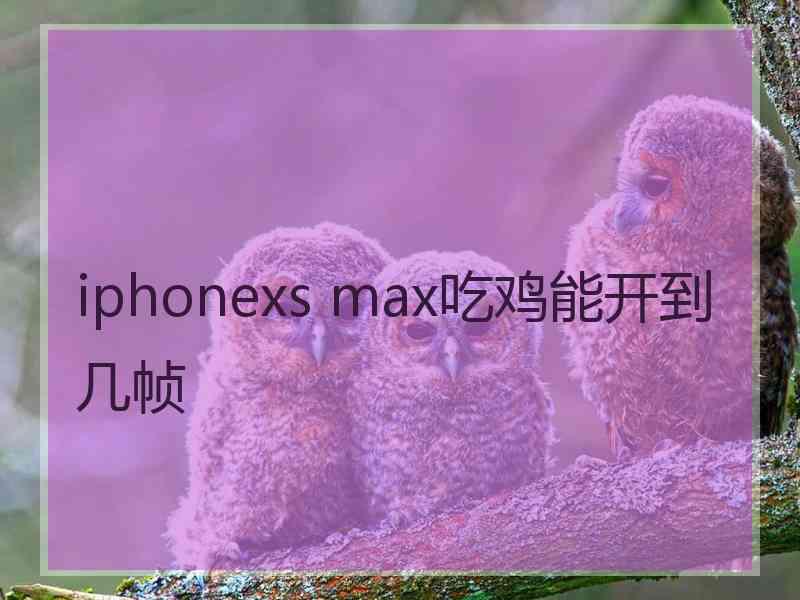 iphonexs max吃鸡能开到几帧